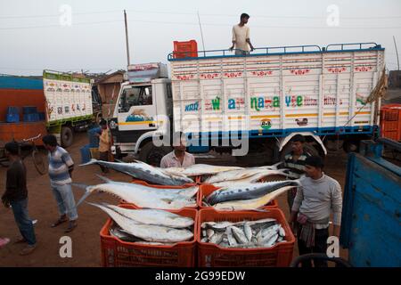 Attività trafficate nel mercato all'ingrosso del pesce di Digha, Bengala Occidentale, India, una spiaggia turistica più popolare del Bengala e uno dei più grandi mercati del pesce. Foto Stock