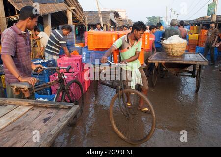 Attività trafficate nel mercato all'ingrosso del pesce di Digha, Bengala Occidentale, India, una spiaggia turistica più popolare del Bengala e uno dei più grandi mercati del pesce. Foto Stock