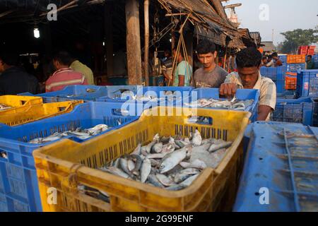 Attività trafficate nel mercato all'ingrosso del pesce di Digha, Bengala Occidentale, India, una spiaggia turistica più popolare del Bengala e uno dei più grandi mercati del pesce. Foto Stock