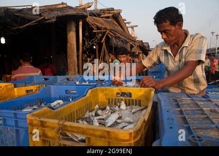 Attività trafficate nel mercato all'ingrosso del pesce di Digha, Bengala Occidentale, India, una spiaggia turistica più popolare del Bengala e uno dei più grandi mercati del pesce. Foto Stock