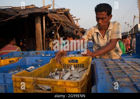 Attività trafficate nel mercato all'ingrosso del pesce di Digha, Bengala Occidentale, India, una spiaggia turistica più popolare del Bengala e uno dei più grandi mercati del pesce. Foto Stock