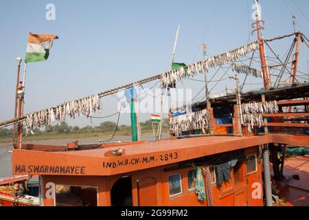 I pesci vengono essiccati alla luce del sole per preparare pesci di vario genere nei pescherecci da traino che ritornano dalla pesca in alto mare nella baia del Bengala. Foto Stock