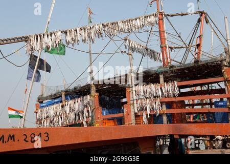 I pesci vengono essiccati alla luce del sole per preparare pesci di vario genere nei pescherecci da traino che ritornano dalla pesca in alto mare nella baia del Bengala. Foto Stock