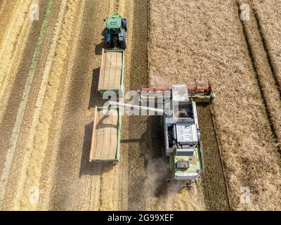 Vista aerea mietitura di un campo di grano con una mietitrebbia e un trattore Foto Stock