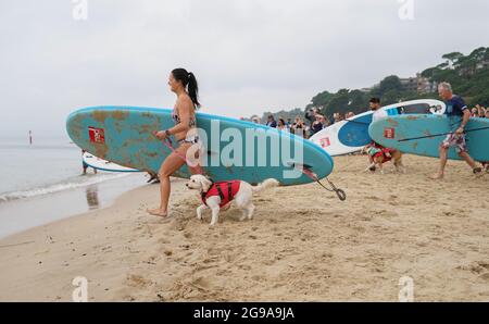 I concorrenti e i loro cani partecipano a Dogmasters, l'unico campionato del paese per il surf con i cani e il paddleboard, a Branksome Beach a Poole, Dorset. Data immagine: Domenica 25 luglio 2021. Foto Stock