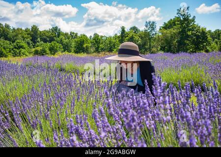 Red Creek, NY, USA - 10 luglio 2021: Rhonda Branca di Vestal, NY partecipa al New York Lavender Festival alla ol'Factory Lavender Farm poco dopo NY St Foto Stock