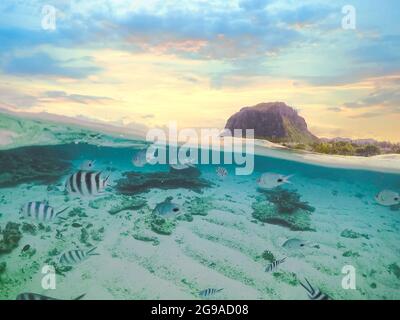 Oceano tropicale trasparente con pesci tropicali, le Morne montagna e spiaggia a Mauritius. Vista divisa. Foto Stock