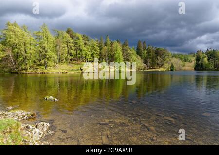 Un tranquillo Loch An Eilein Foto Stock