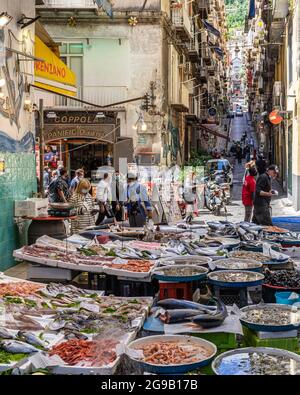 Napoli, 2021 maggio – Pesce al mercato di Pignasecca nel centro storico di Napoli Foto Stock