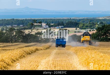 Byres Farm, East Lothian, Scozia, Regno Unito, 25 luglio 2021. Regno Unito tempo: Raccolta invernale dell'orzo: Il recente clima secco ha permesso ad un agricoltore di iniziare presto la raccolta. Nella foto: Una mietitrebbia New Holland in funzione con una vista del Firth of Forth e di Lomond Hills in lontananza Foto Stock