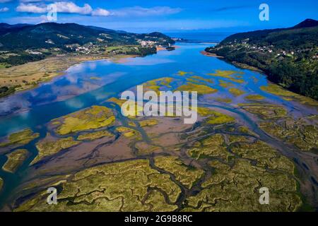 Spagna, Paesi baschi spagnoli, Biscaglia, regione Gernika-Lumo, Riserva della Biosfera Urdaibai, Estuario del fiume Oka a bassa marea a sud di Mundaka Foto Stock