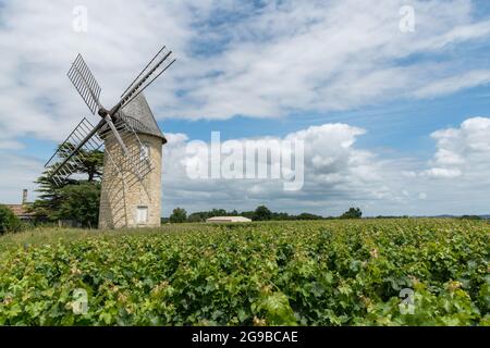 Antico mulino a vento nei vigneti della zona del Médoc, in Gironda, Francia Foto Stock