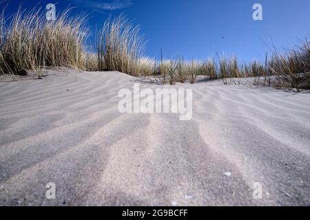 Dune olandesi con motivi di sabbia bianca, erba sulla spiaggia con un cielo blu con nuvole bianche. Paesi Bassi, Ameland 2021 Foto Stock