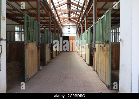 All'interno moderno stalla trasparente o fienile con scatole di cavalli. Vista del passaggio in luce naturale alla fine. Eliminato vuoto stalla in stalla tenuta stabile sport hors Foto Stock