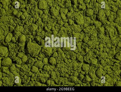 Sfondo a polvere verde. Closeup di polvere di clorella. Supplemento naturale. Foto Stock