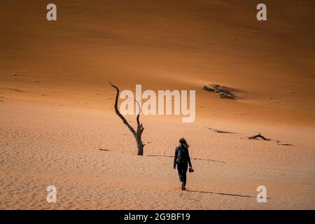 Escursioni sulle dune nel deserto del Namib vicino a Deadvlei, Namib-Naukluft National Park, Namibia, Africa. Foto Stock