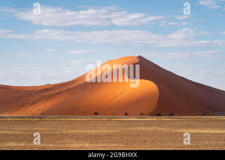 Torreggianti dune di sabbia all'alba vicino a Sossusvlei nel Parco Nazionale Namib-Naukluft, Namibia, Africa. Foto Stock