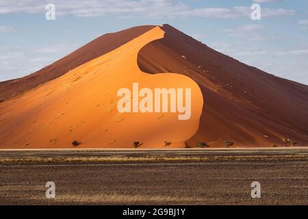 Torreggianti dune di sabbia all'alba vicino a Sossusvlei nel Parco Nazionale Namib-Naukluft, Namibia, Africa. Foto Stock