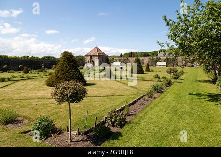 Arbusti e confini a Old Durham Gardens a Durham City, Inghilterra. Il giardino murato risale alla fine del 17 ° secolo. Foto Stock