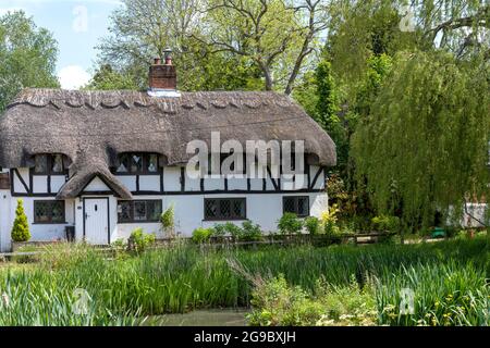 Il duck stagno nel centro del villaggio Oakley con tradizionali cottage con tetto di paglia sullo sfondo, Oakley, Hampshire, Inghilterra, Regno Unito. Foto Stock