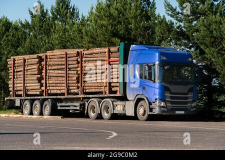 Semi-camion con tronchi di legno Foto Stock