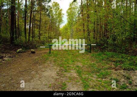 La barriera sulla strada forestale vieta l'ingresso. Foresta. Foto Stock