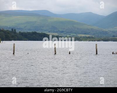 Turismo scozzese: Pali di legno sommersi nell'acqua a Loch Lomond con le montagne sullo sfondo Foto Stock