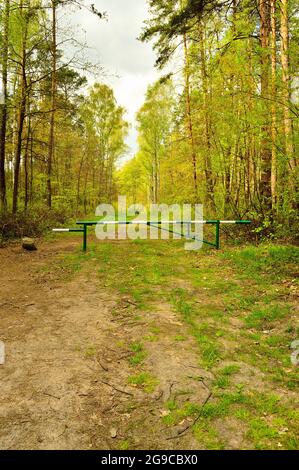 La barriera sulla strada forestale vieta l'ingresso. Foresta. Foto Stock