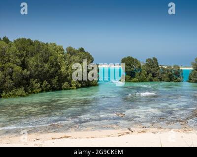 Mangrovie e acqua salata a Willie Creek, Dampier Peninsula, Kimberley, Australia Occidentale Foto Stock