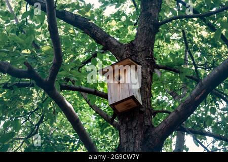 Una casa di uccelli in legno Foto Stock