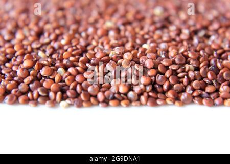 Macro Rosso quinoa sfondo Foto Stock