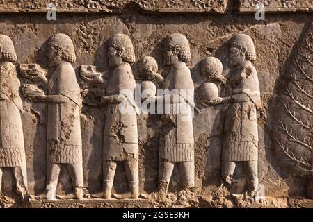 Persepolis, rilievo delle rovine di Apadana, capitale dell'impero achemenide, sobborgo di Shiraz, Provincia di Fars, Iran, Persia, Asia occidentale, Asia Foto Stock