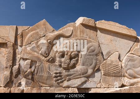 Persepolis, bassorilievo del leone, palazzo di Xerxes, capitale dell'impero di Achemenid, provincia di Fars, Iran, Persia, Asia occidentale, Asia Foto Stock