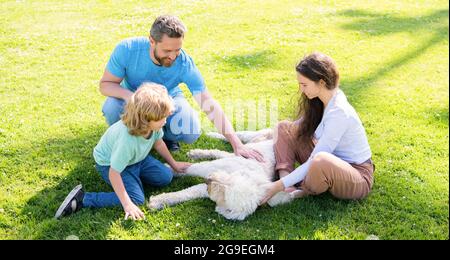 felice famiglia di mamma padre e ragazzo che gioca con il cane in estate parco verde erba, animali domestici ammessi Foto Stock