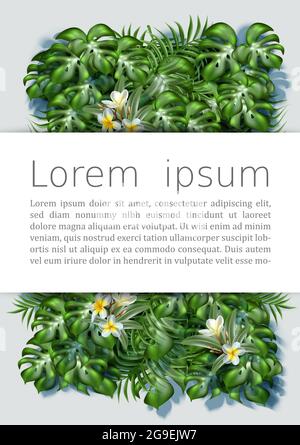 3d realistico sfondo foglie tropicali banner con spazio per il tuo messaggio e con fiori frangipani. Illustrazione Vettoriale