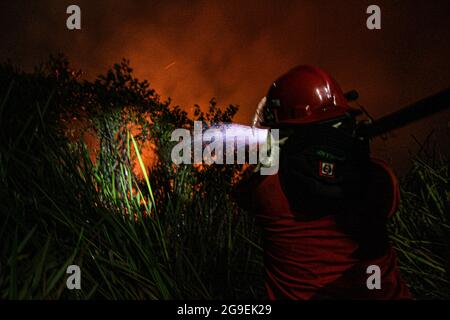 Ogan Ilir, Indonesia. 25 luglio 2021. Ufficiali di Manggala Agni Daops Banyuasin estinguono gli incendi dei peatland nel villaggio di Istanbul 1, nel distretto di Pemulutan, nella reggenza di Ogan Ilir, Sumatra meridionale. Questo fuoco di terra si è verificato a 10.00 WIB con un'area di ????circa 4 ettari di torba bruciata (foto da Humaidy Kenedy/Pacific Press) Credit: Pacific Press Media Production Corp./Alamy Live News Foto Stock