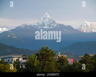 Machapuchare (6993m) - 'Fish Tail Mountain' - da Pokhara, Nepal Foto Stock