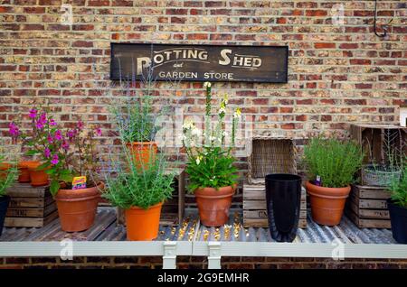 Un vecchio segno Potting Shed e Garden Store al Walled Rose Garden Wynyard Hall Tees Valley England UK in estate Foto Stock