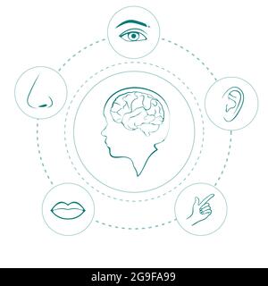 vettore cinque sensi icone, umano naso, orecchio, occhio e bocca illustrazione Illustrazione Vettoriale
