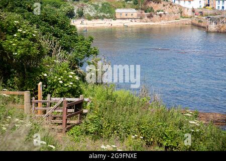 Porta di legno attraverso arbusti, Crail Harbour, East Neuk di Fife, Scozia Foto Stock