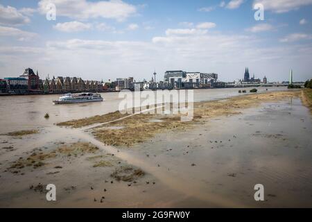 Acque basse del Reno il 21 luglio 2021, prati del Reno a Poll, vista alle gru nel porto di Rheinau e alla cattedrale, Colonia, Ger Foto Stock