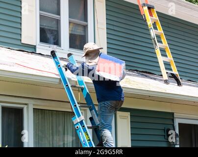 Un appaltatore sta trasportando un pacchetto delle assicelle del tetto mentre arrampica una scala da installare su una casa residenziale. Foto Stock