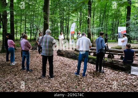 Mittelangeln, Germania. 26 luglio 2021. Jan Philipp Albrecht (Bündnis 90/Die Grünen, M), Schleswig-Holstein Ministro per la transizione energetica, l'agricoltura, l'ambiente, la natura e la digitalizzazione è presente nel bosco con i partecipanti ad un evento stampa. Albrecht segnò l'albero dell'habitat del 80000. Gli alberi sono indispensabili per la conservazione e la promozione della biodiversità e la conservazione della natura delle foreste integrative, hanno spiegato i rappresentanti delle foreste statali dello Schleswig-Holstein. Credit: Frank Molter/dpa/Alamy Live News Foto Stock