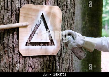 Mittelangeln, Germania. 26 luglio 2021. Uno stencil è tenuto al tronco dell'albero per marcare i 80,000 alberi di habitat. Gli alberi sono indispensabili per la conservazione e la promozione della biodiversità e la conservazione della natura delle foreste integrative, hanno spiegato i rappresentanti delle foreste statali dello Schleswig-Holstein in occasione di un evento stampa. Credit: Frank Molter/dpa/Alamy Live News Foto Stock