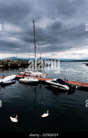 Bantry, West Cork, Irlanda. 26 luglio 2021. L'onda di calore è finalmente giunta alla fine dopo più di una settimana di alte temperature. Questi cigni a Bantry Marina nuotano sotto le incombenti nuvole tempesta questo pomeriggio. Credit: AG News/Alamy Live News Foto Stock