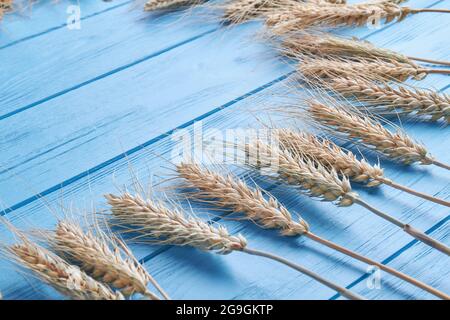 Spikelets di grano su sfondo blu vecchio tavolo di legno. Foto Stock