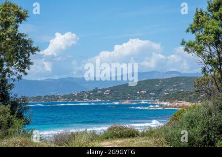 Scoperta dell'isola di bellezza nel sud della Corsica nel mese di maggio, Francia Foto Stock