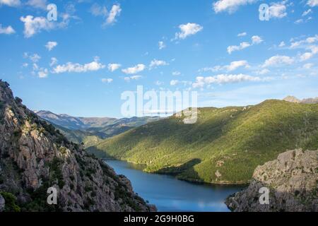 Scoperta dell'isola di bellezza nel sud della Corsica nel mese di maggio, Francia Foto Stock
