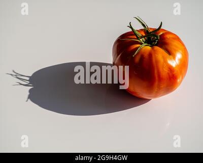 pomodoro biologico e la sua ombra Foto Stock