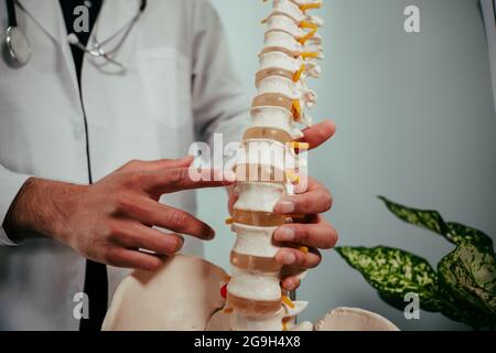 Razza mista medico maschile che tiene scheletro spiegando alle aree paziente della colonna vertebrale Foto Stock